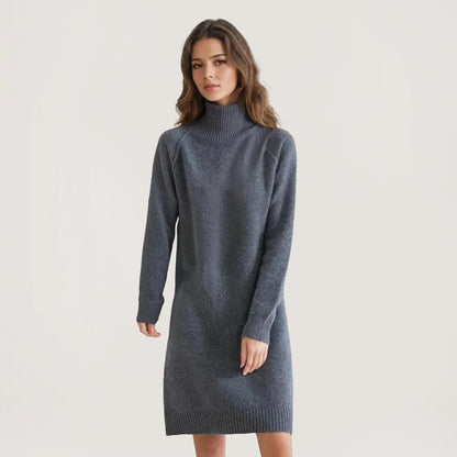 Turtleneck Sweater Dress