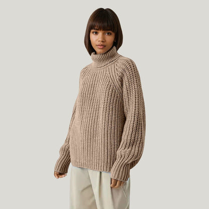 Turtle Neck Knitted Sweater